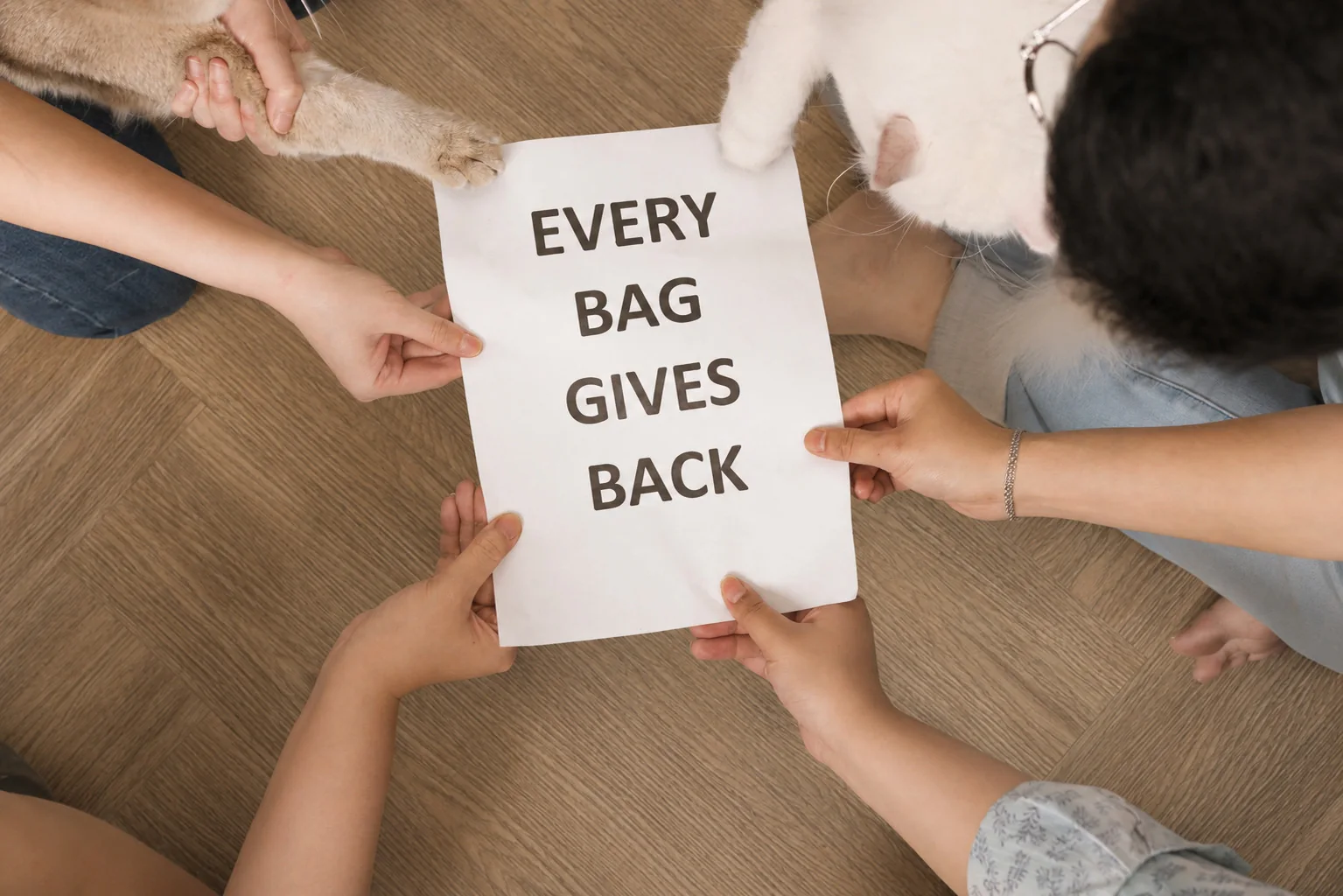 Kampanye #EveryBagGivesBack Paw Power × Kootie Goldie untuk sterilisasi kucing jalanan