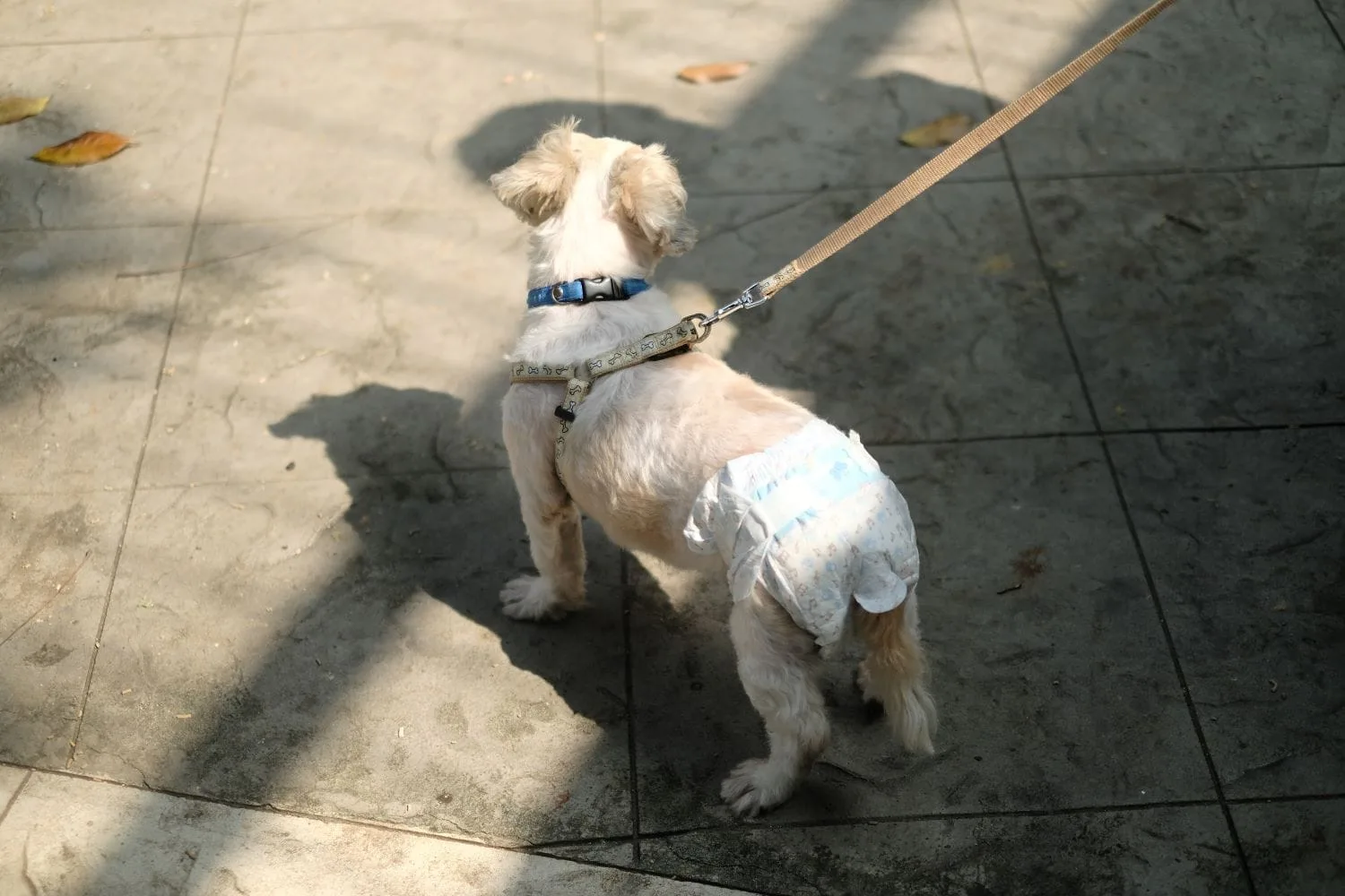 Travel Diapers — foto 2