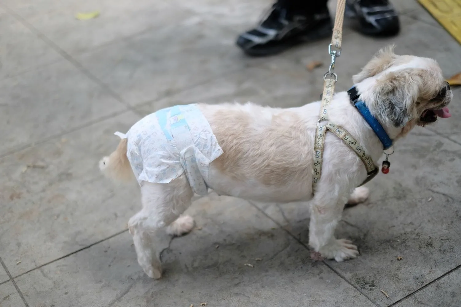 Travel Diapers — foto 4