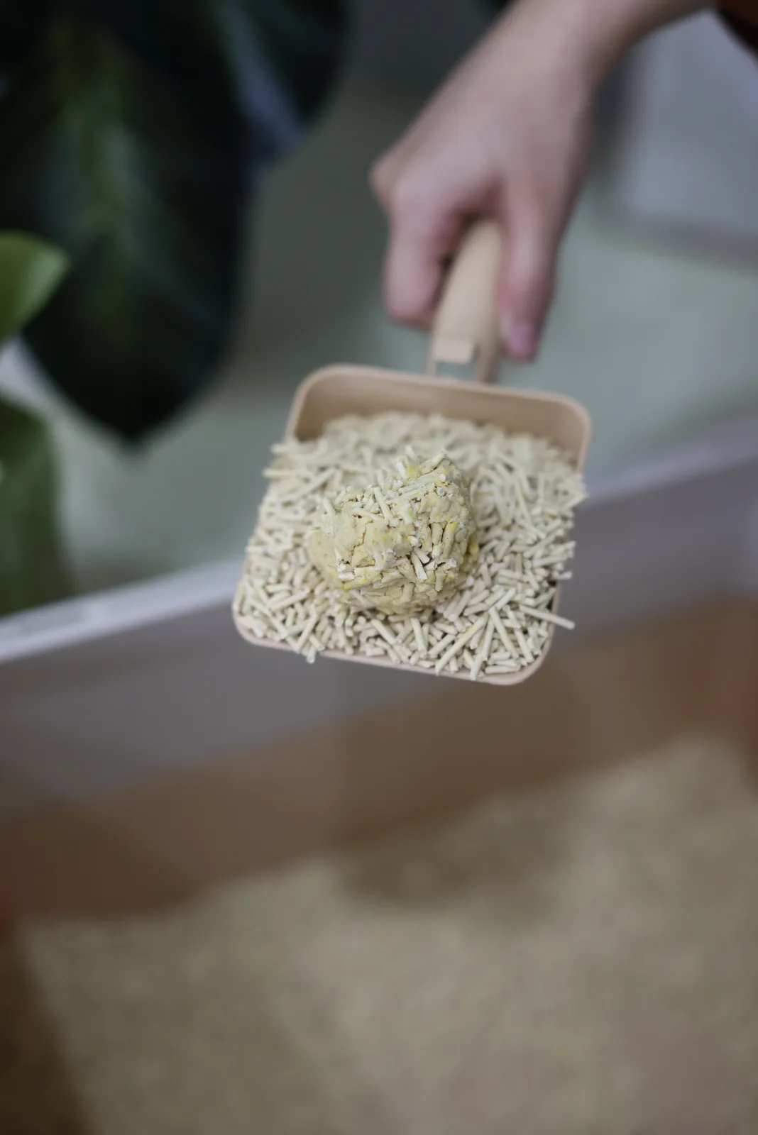 Tofu Cat Litter — foto 13